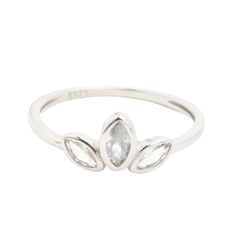 Silver-colored stainless steel ring with a royal garland design and small clear gemstones, displayed on a white background