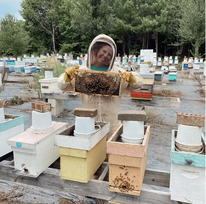 Person in beekeeping gear holding a bee-covered beehive frame in an outdoor setting with multiple beehives
