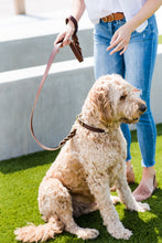 leather_dog_collar