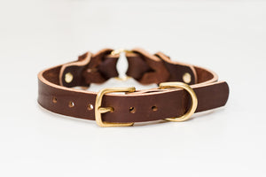 leather_dog_collar