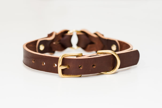 leather_dog_collar