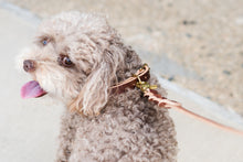 leather_dog_collar
